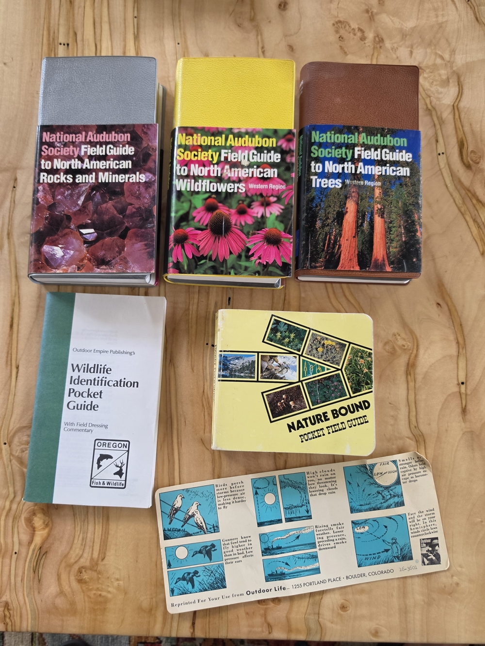 National Audubon Society Field Guide Books (3) Set includes all pictured EUC